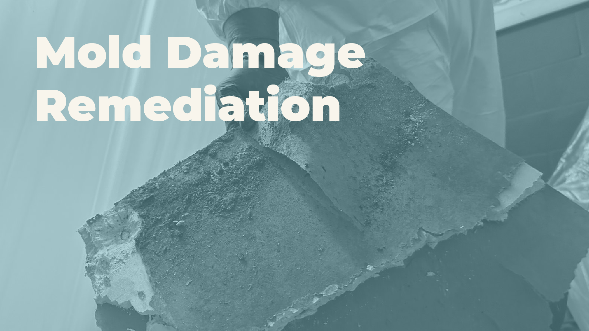 FL Restoration Masters professional restoration services