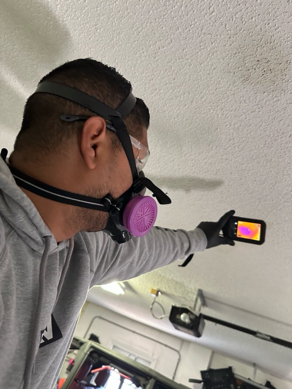 Mold Removal