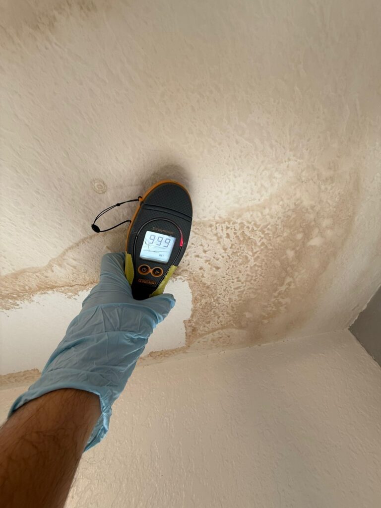FL Restoration Masters professional restoration services