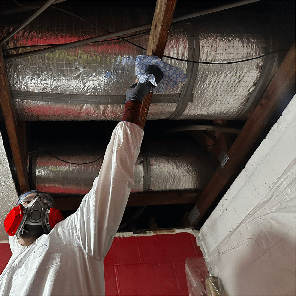 Professional remediation in florida jacksonville