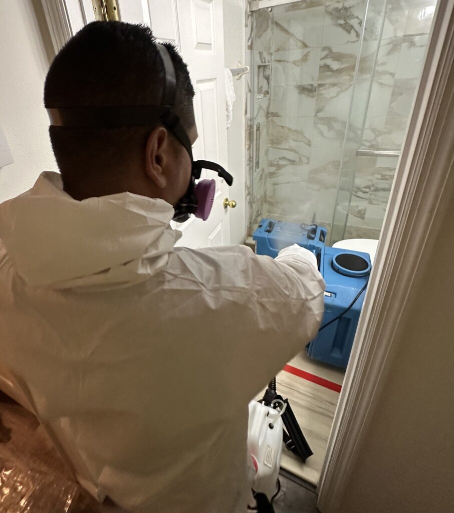 remediation-bathroom