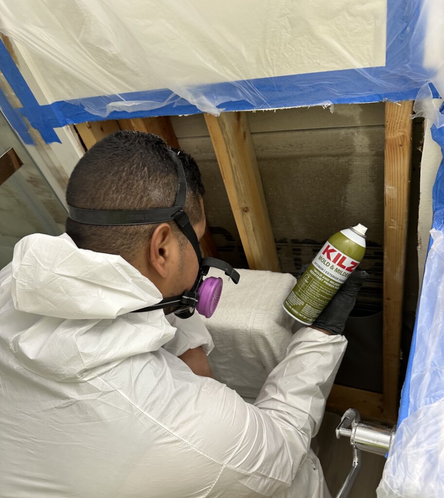 remediation-bathroom-mold-killz