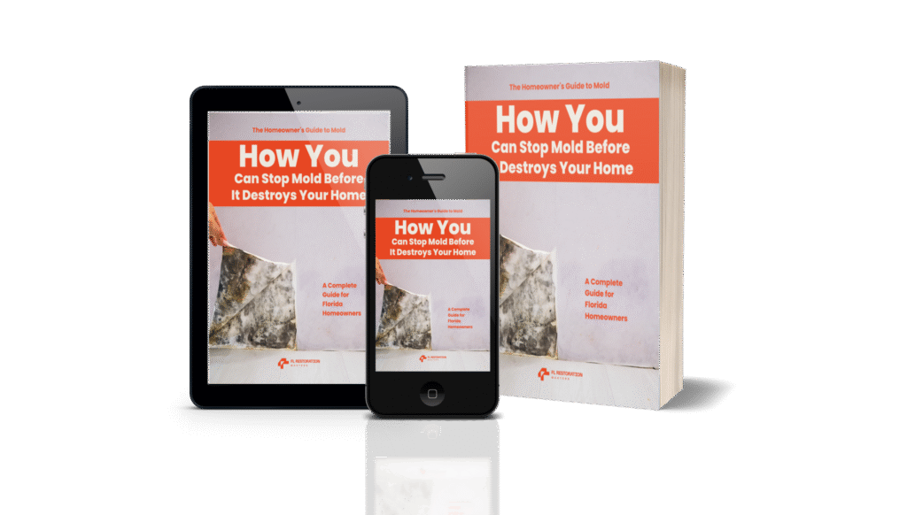 mold-free-guide-2025